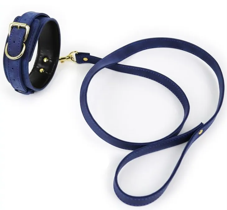 Collier Laisse LIGHTY Bleu