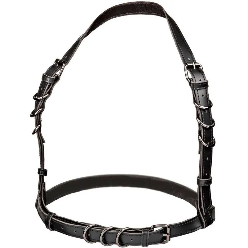 Harnais Euphoria Boucle Licol Noir - CalExotics
