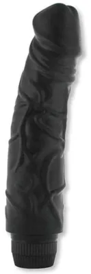 Dildo Vibrant Perfect Pleasure 18 x 4.8 cm Noir