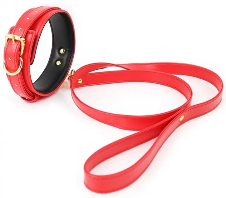 Collier Laisse LIGHTY Rouge