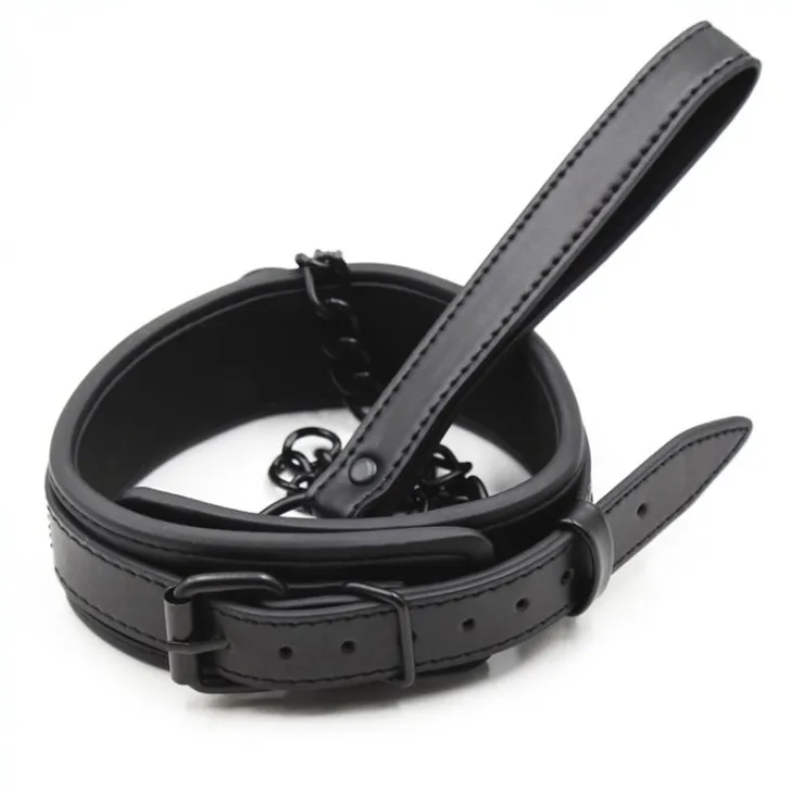 Collier Sm et Laisse noir
