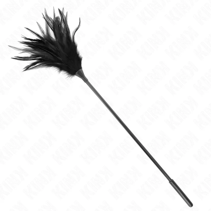 Plumeau Sensuel Plusieurs Plumes Noires 45 cm - Kink
