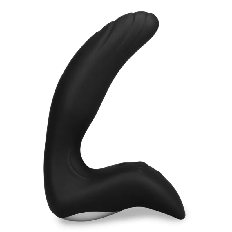 Vibromasseur anal Stimulateur prostatique vibrant Extase - Noir