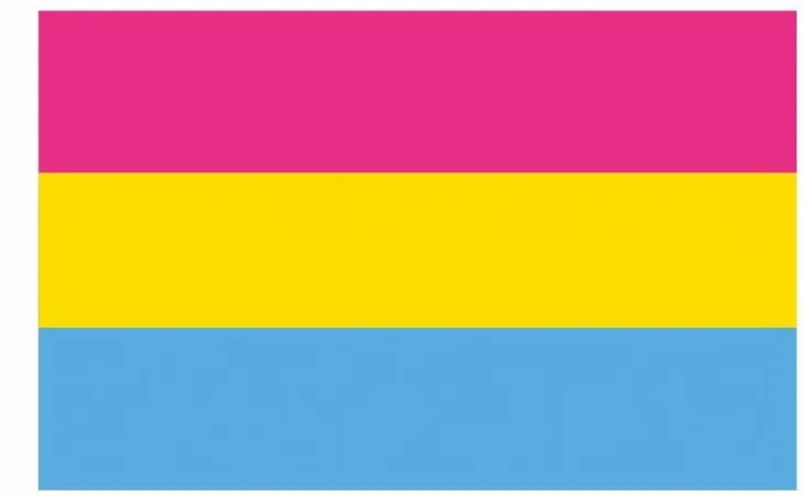 Drapeau PANSEXUEL 90 x 150cm