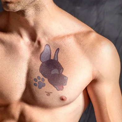 Mr B - Mister B Tatouage éphémère PUPPY 10 x 15cm