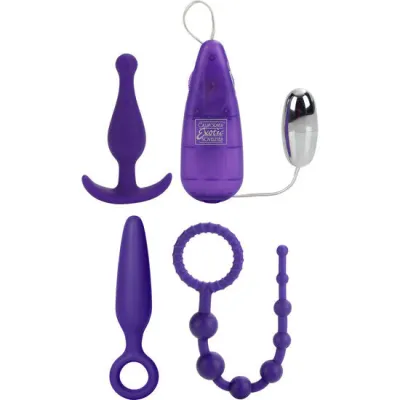 Kit Anal Complet 4 Accessoires - California Exotics