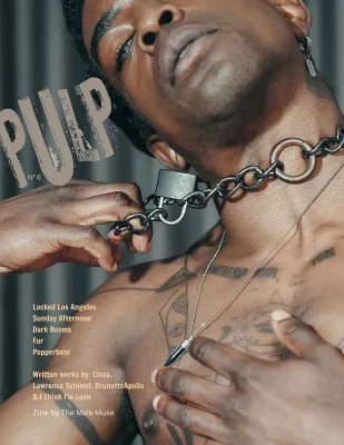 The Male Muse Livre photo PULP n6