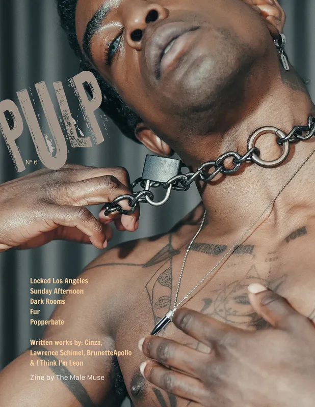 The Male Muse Livre photo PULP n6