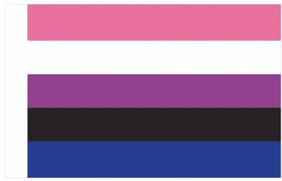 Drapeau GENDERFLUID 90 x 150cm