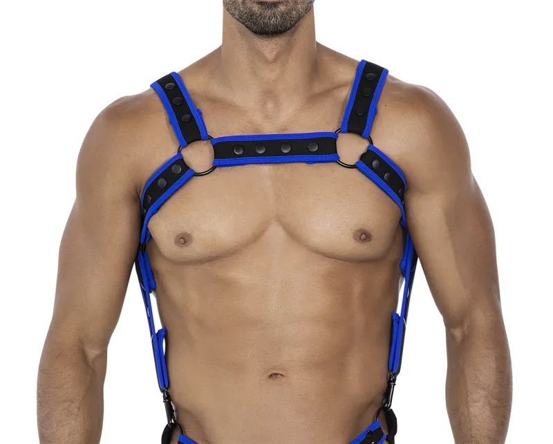 Harnais NEO C4M Noir-Bleu