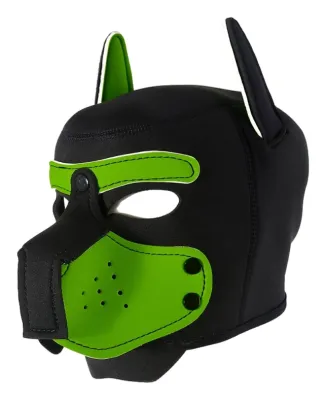 Cagoule Néoprène ENJOY PUPPY Noir-Vert