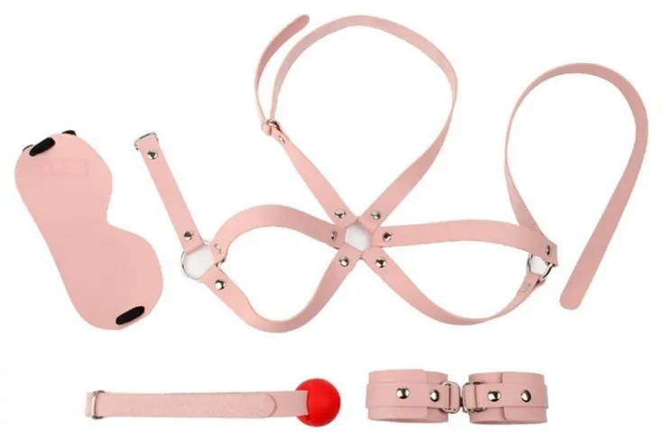 Kit d'Initiation BDSM OBEDIENCE 4 Pièces Rose