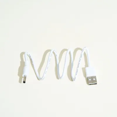 Chargeur LELO USB -