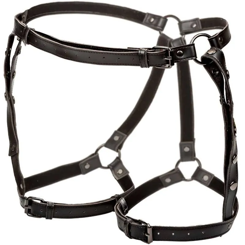 Harnais de Cuisse Euphoria Multi Chaînes Grande Taille - CalExotics