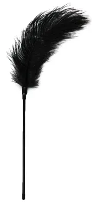 Plumeau TEASING 56cm Noir