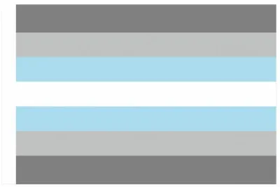 Drapeau DEMI-GARCON 60 x 90cm