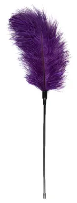 Plumeau TEASING Violet 56cm
