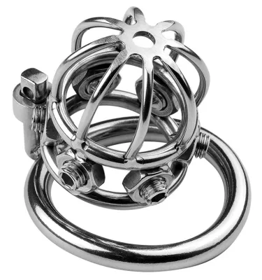 Cage de chasteté en métal SPIKE COCK 6 x 3.2cm