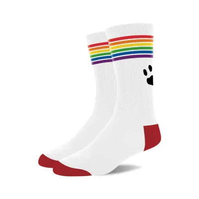 Paire de chaussettes PRIDE Blanc-Rainbow