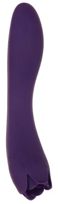 Vibro et Stimulateur de clitoris THORNY ROSE 20cm