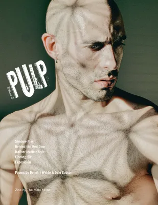 The Male Muse Livre photo PULP n3