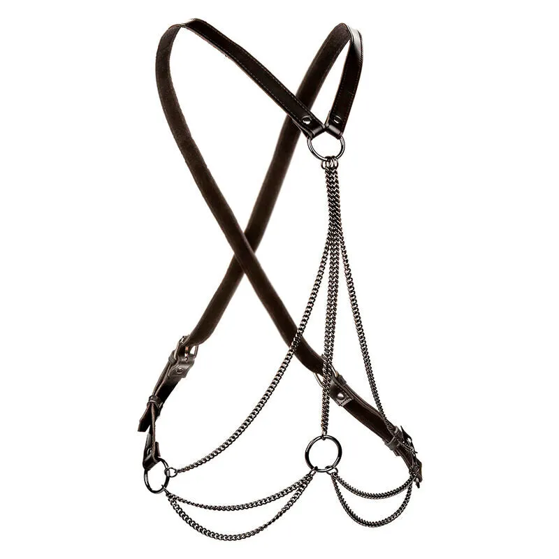 Harnais Euphoria Multichaînes Premium Noir - CalExotics
