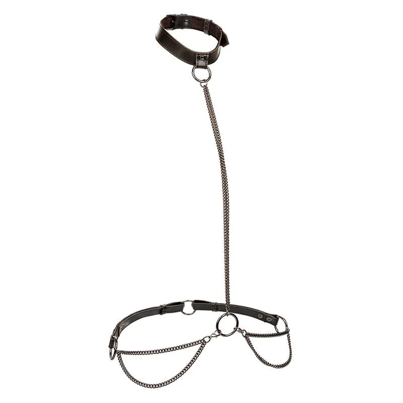 Harnais Collier Euphoria Chaîne Grande Taille - CalExotics