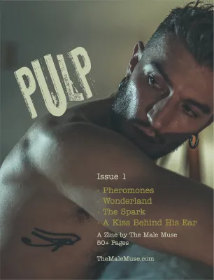 The Male Muse Livre photo PULP n1