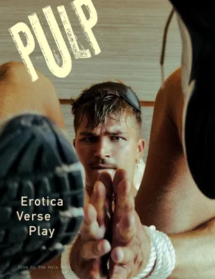The Male Muse Livre photo PULP n5
