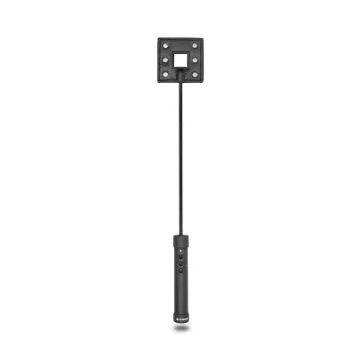 Cravache E-Stim